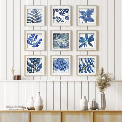 BLUE HYDRANGEA - Fine Art Print, Botanical Blueprint