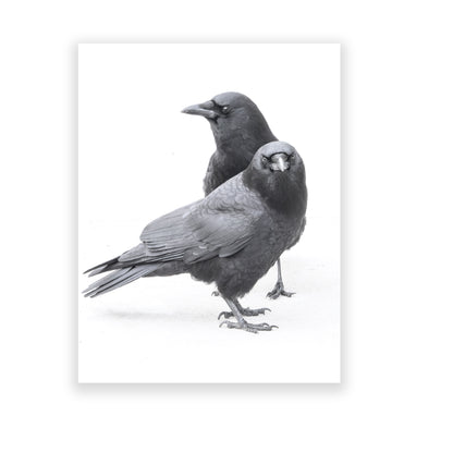 Set of 12 CROW CHARACTERS Postcards by June Hunter