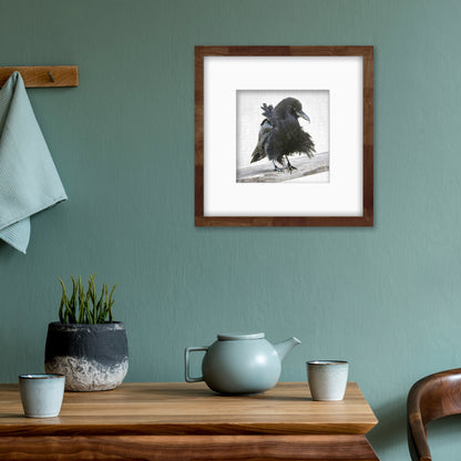 BREEZY BILL - Fine Art Print, Crow Portrait Series