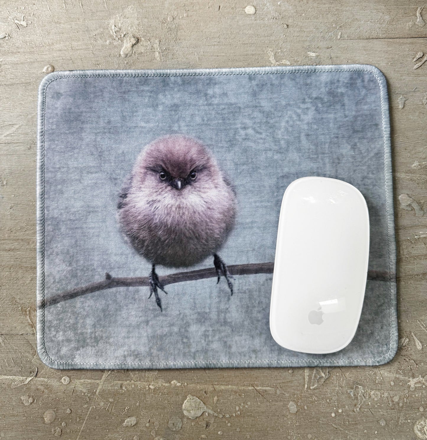 SMALL BUT DETERMINED Bushtit Mouse Pad