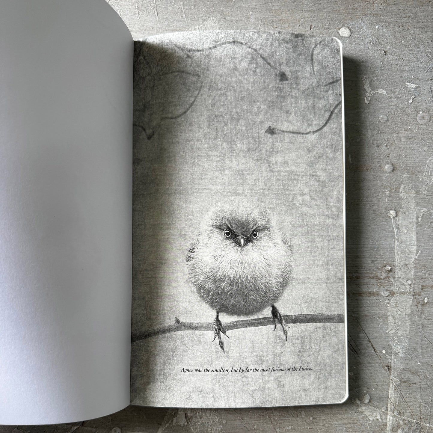 SMALL BUT DETERMINED - Small Notebook by June Hunter