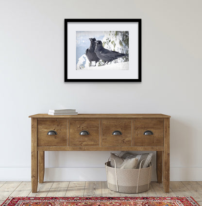 RAVENS WITH A VIEW - Fine Art Print, Raven Portrait Series