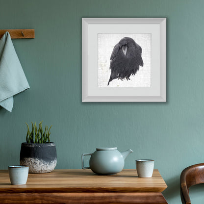 CONTEMPLATION - Fine Art Print, Raven Portrait Series