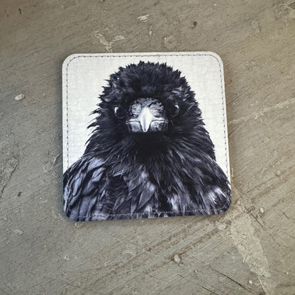CRITICAL CROW — Coaster