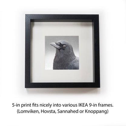 THE MIRROR - Fine Art Print, Crow Portrait Series