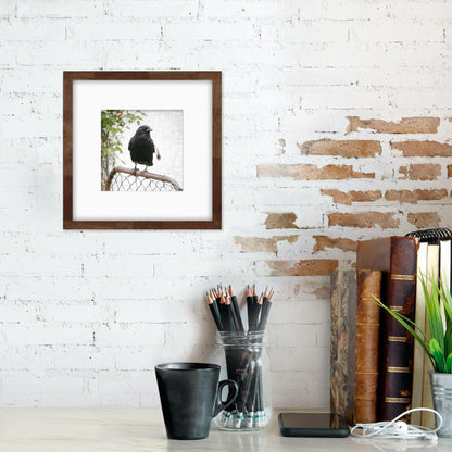 CROW AND GATE - Fine Art Print, Crow Portrait Series