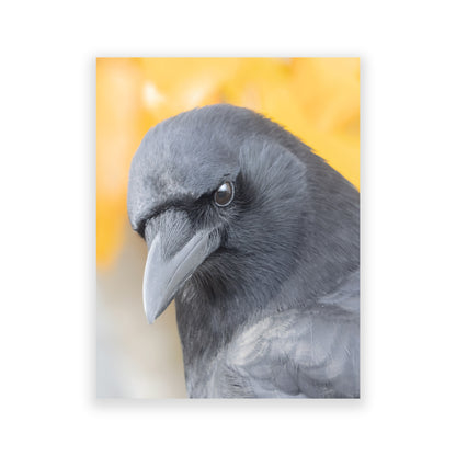 Set of 12 CROW CHARACTERS Postcards by June Hunter