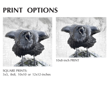 ELBOWS UP - Fine Art Print, Raven Portrait Series