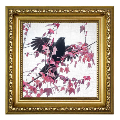 FALL FIREWORKS - Fine Art Print, Crow Portrait Series