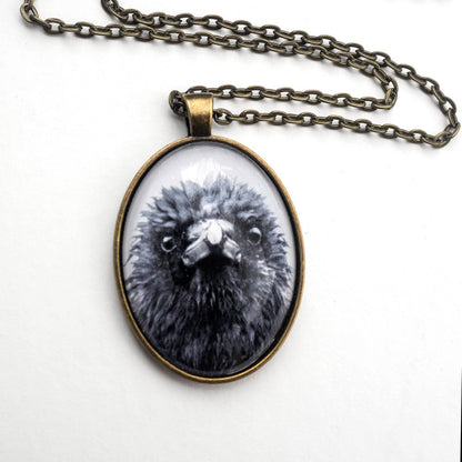 FRAZZLED CROW - Large Glass Pendant
