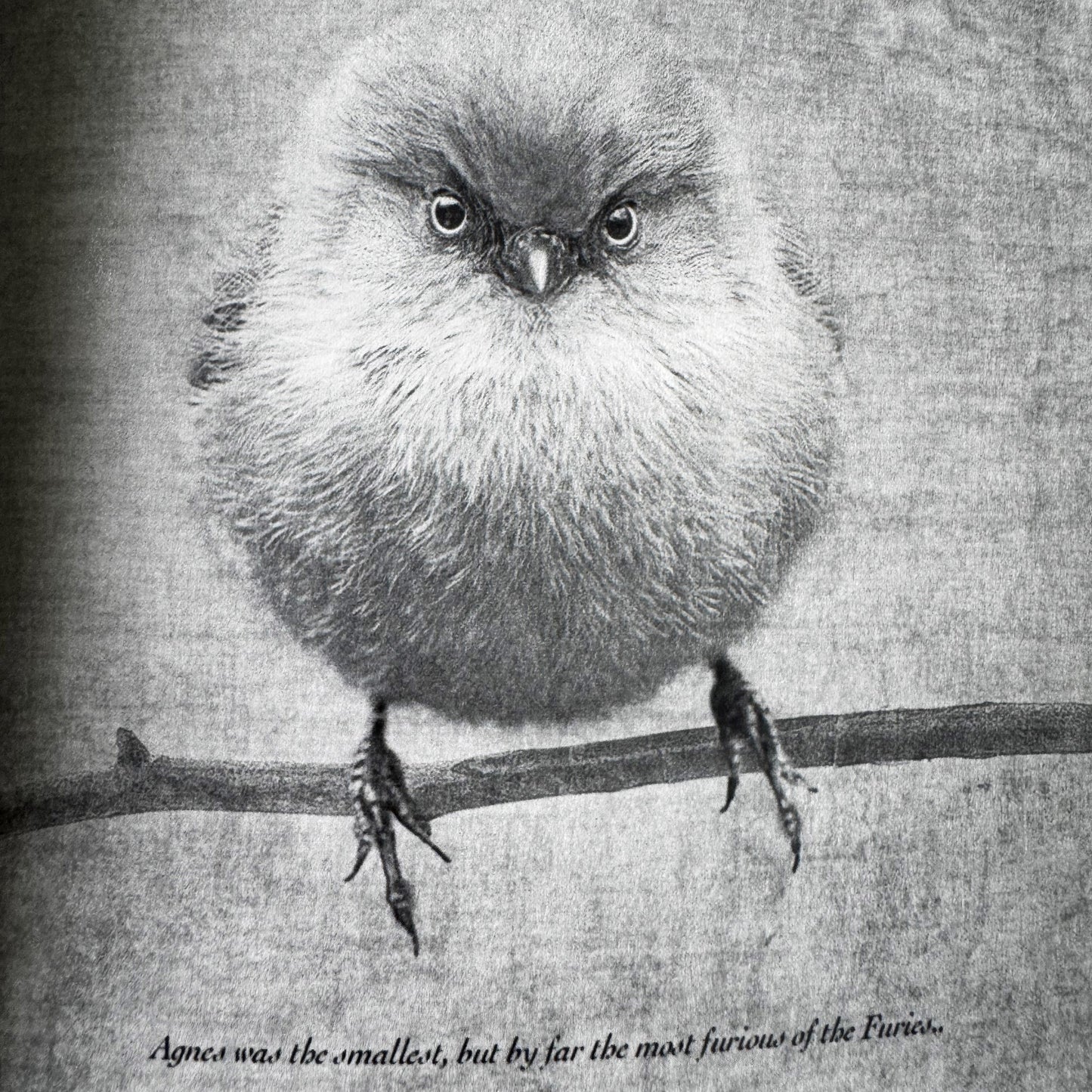 SMALL BUT DETERMINED - Small Notebook by June Hunter