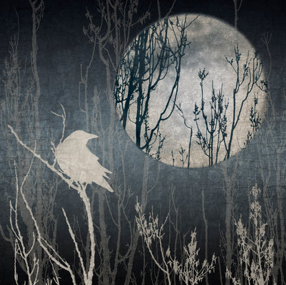 CROW, MOON, DREAMS - Long Silk Scarf