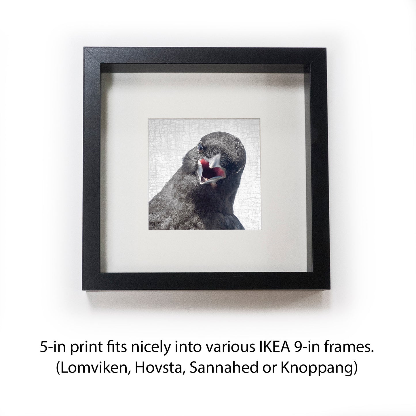 ALARM CLOCK CROW - Fine Art Print, Crow Portrait Series