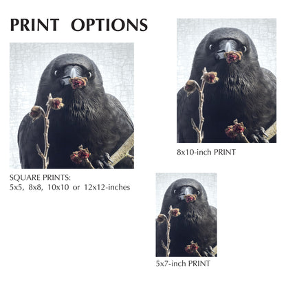 I GOT YOU FLOWERS ... - Fine Art Print, Crow Portrait Series