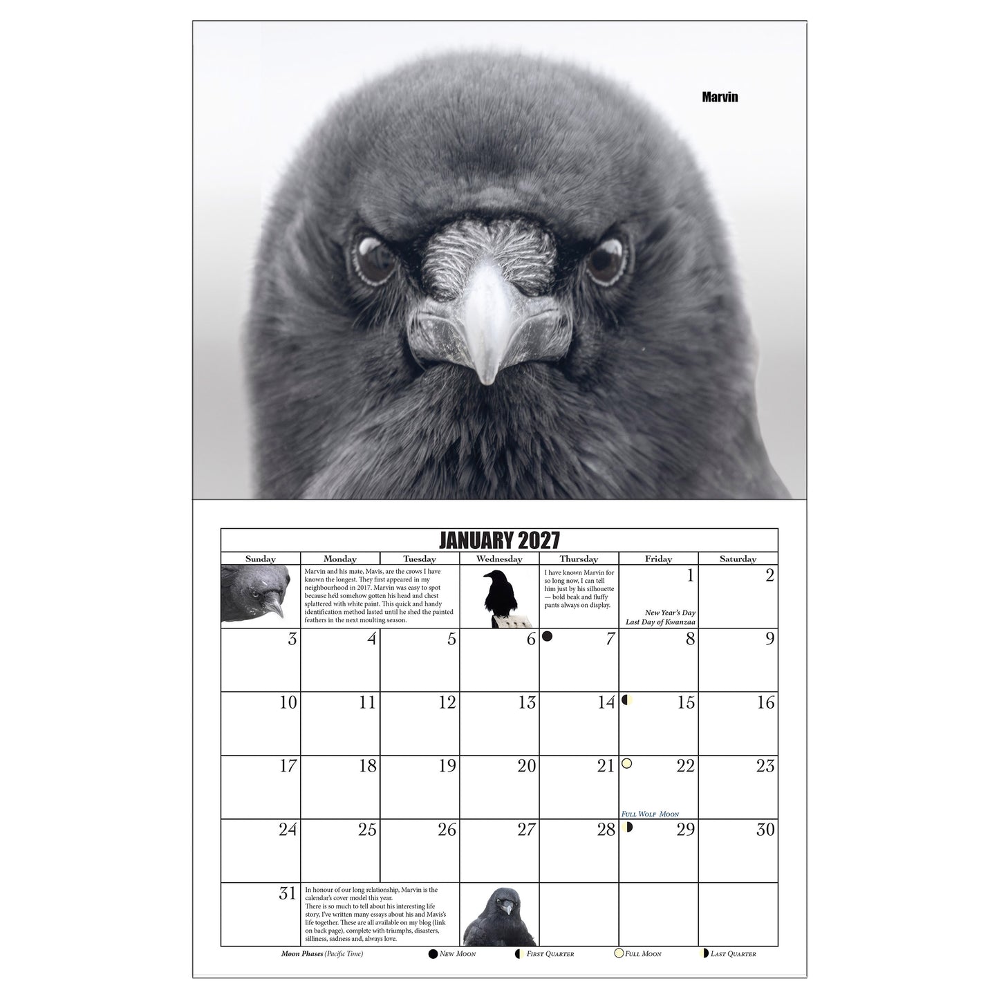 CITY CROW CALENDAR 2027 — Wall Calendar