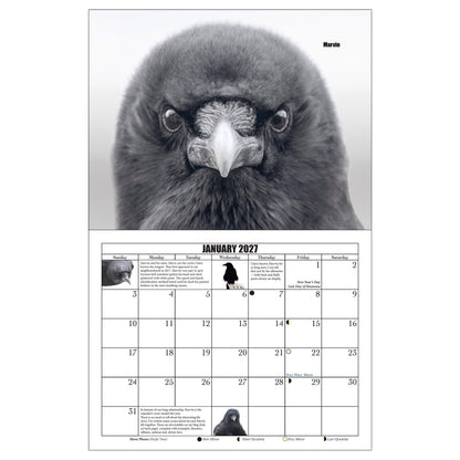 CITY CROW CALENDAR 2027 — Wall Calendar