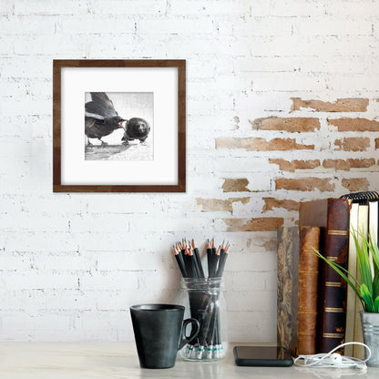 THE JOYS OF PARENTING - Fine Art Print, Crow Portrait Series