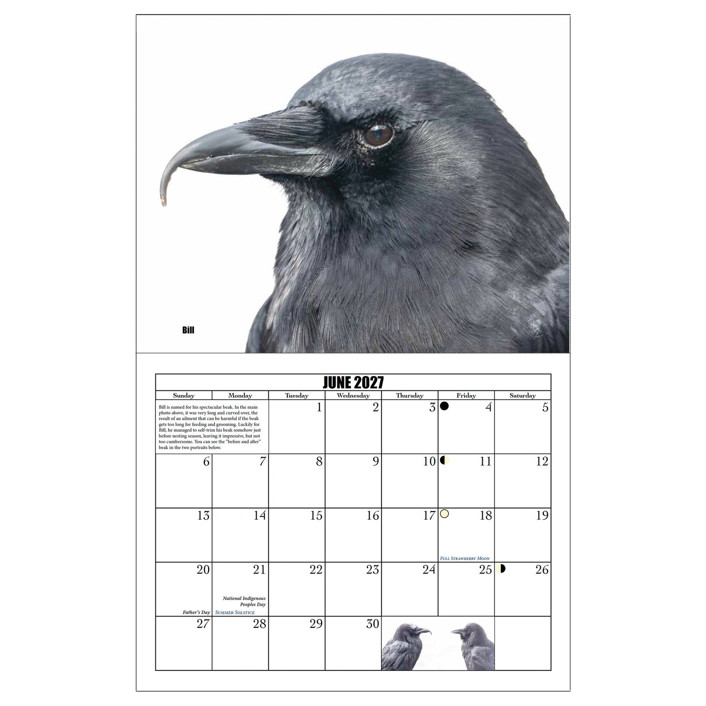 CITY CROW CALENDAR 2027 — Wall Calendar