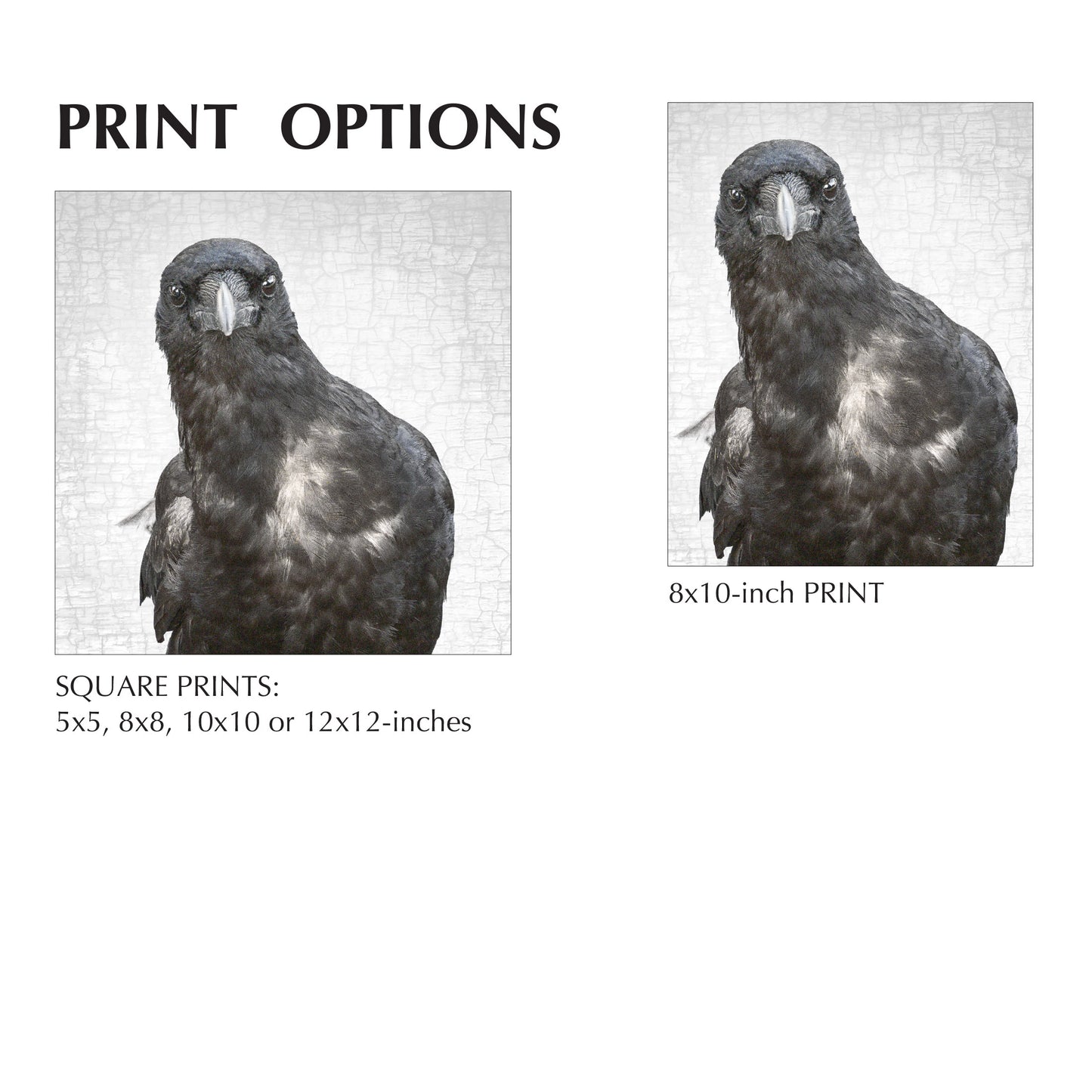 NEIL YOUNG, THE CROW - Fine Art Print, Crow Portrait Series