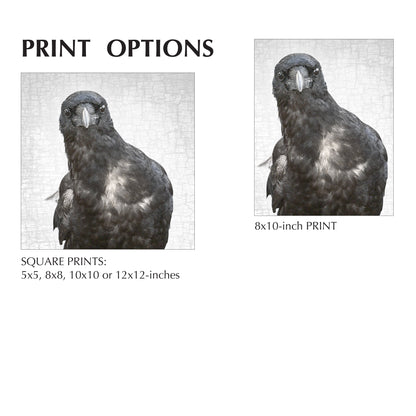 NEIL YOUNG, THE CROW - Fine Art Print, Crow Portrait Series