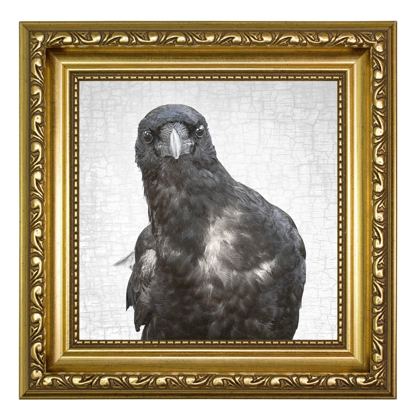 NEIL YOUNG, THE CROW - Fine Art Print, Crow Portrait Series