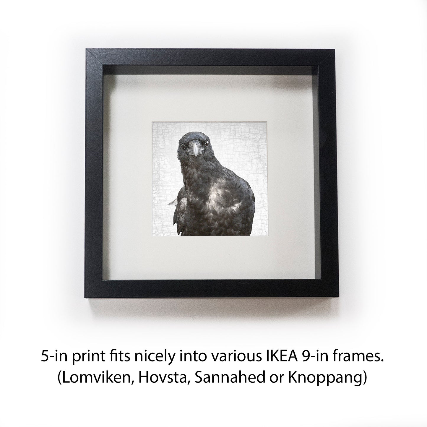 NEIL YOUNG, THE CROW - Fine Art Print, Crow Portrait Series