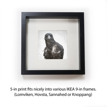 NEIL YOUNG, THE CROW - Fine Art Print, Crow Portrait Series