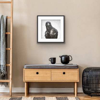 NEIL YOUNG, THE CROW - Fine Art Print, Crow Portrait Series