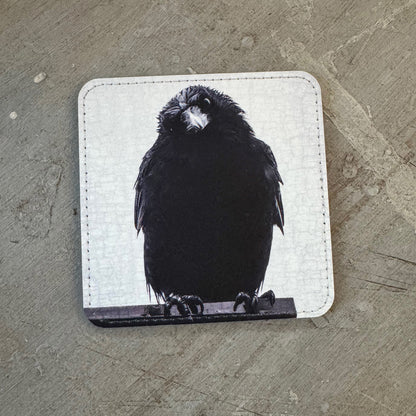 PHILOSOPHER CROW — Coaster