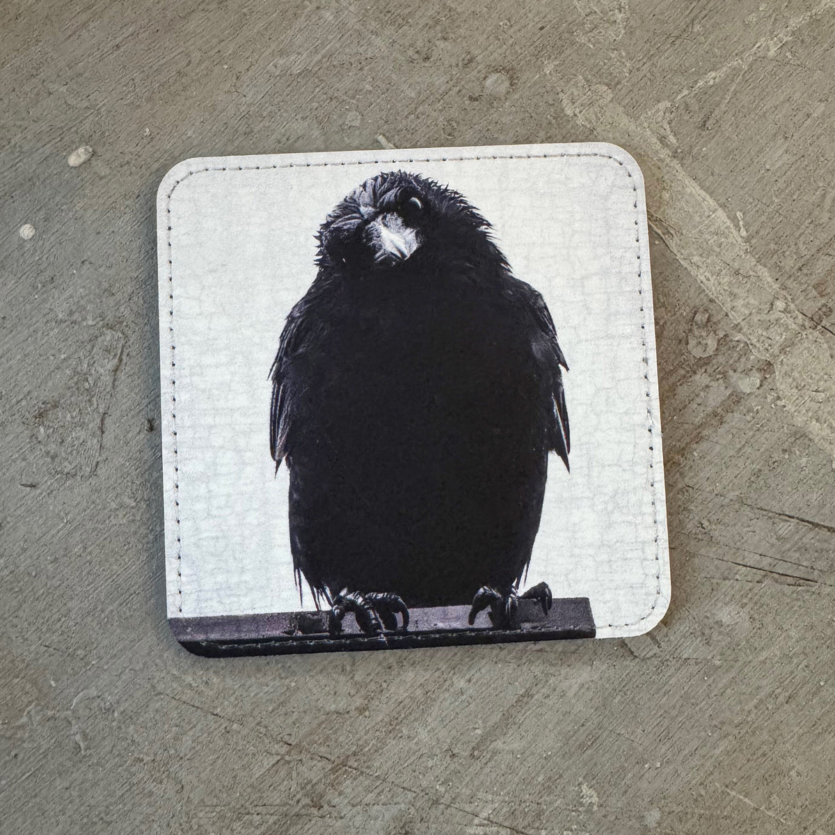 PHILOSOPHER CROW — Coaster