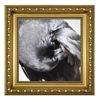 POPPY PREENS - Fine Art Print, Raven Portrait Series