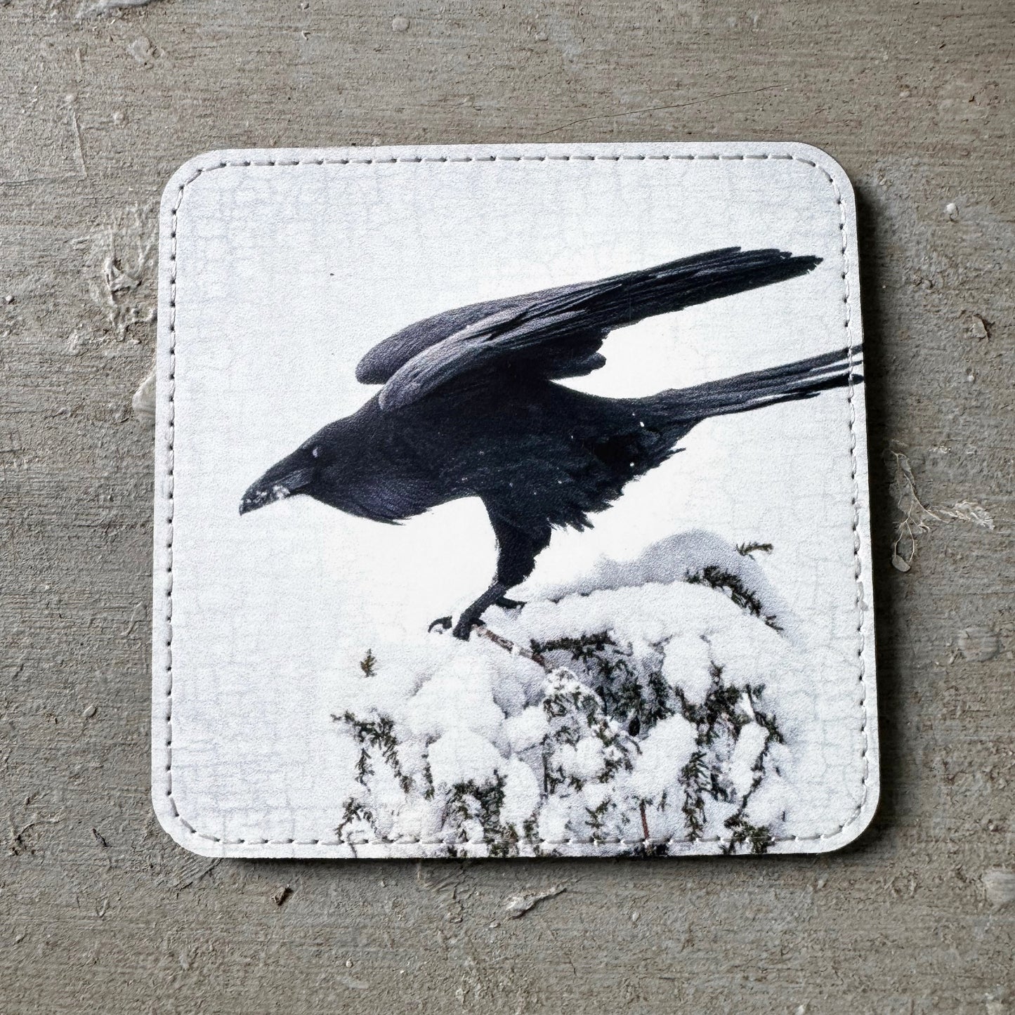 RAVEN LANDING CROW — Coaster