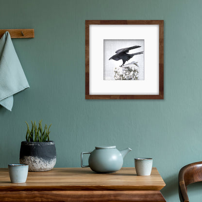 RAVEN LANDING - Fine Art Print, Raven Portrait Series