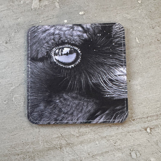 IN A RAVEN'S EYE — Coaster