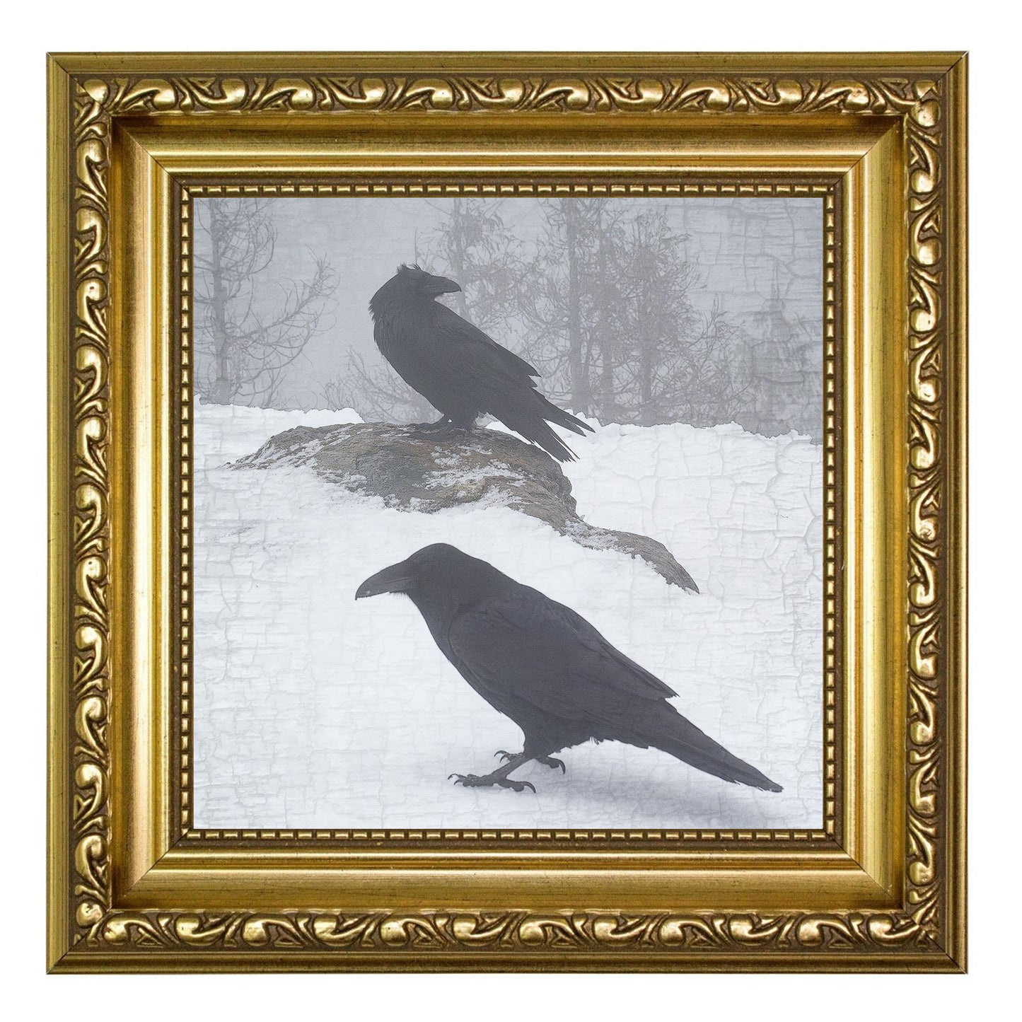 RAVENS-IN-A-MIST - Fine Art Print, Raven Portrait Series