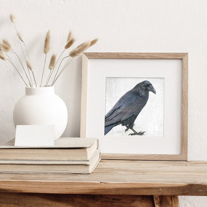 ENTER RAVEN, STAGE LEFT - Fine Art Print, Raven Portrait Series