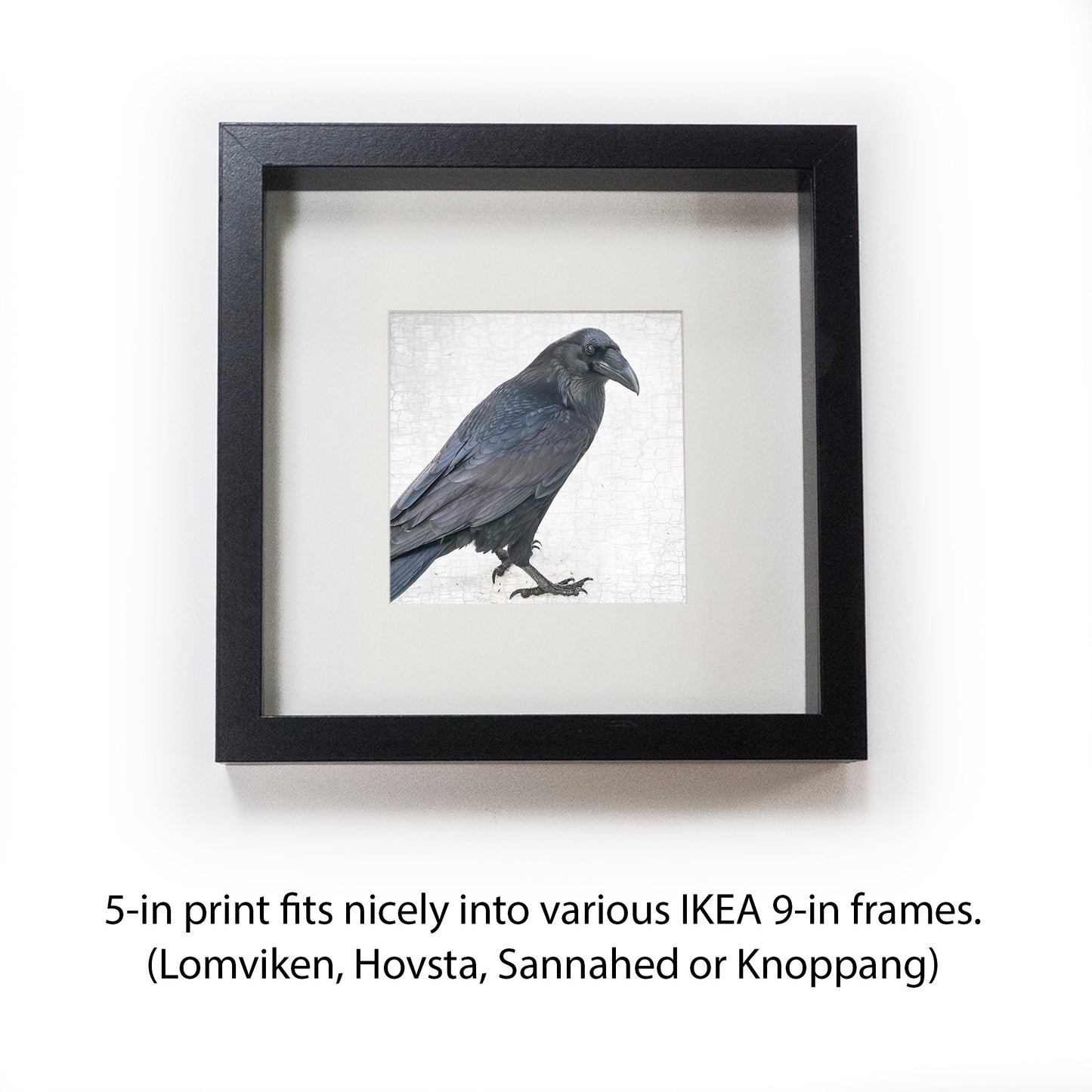 ENTER RAVEN, STAGE LEFT - Fine Art Print, Raven Portrait Series