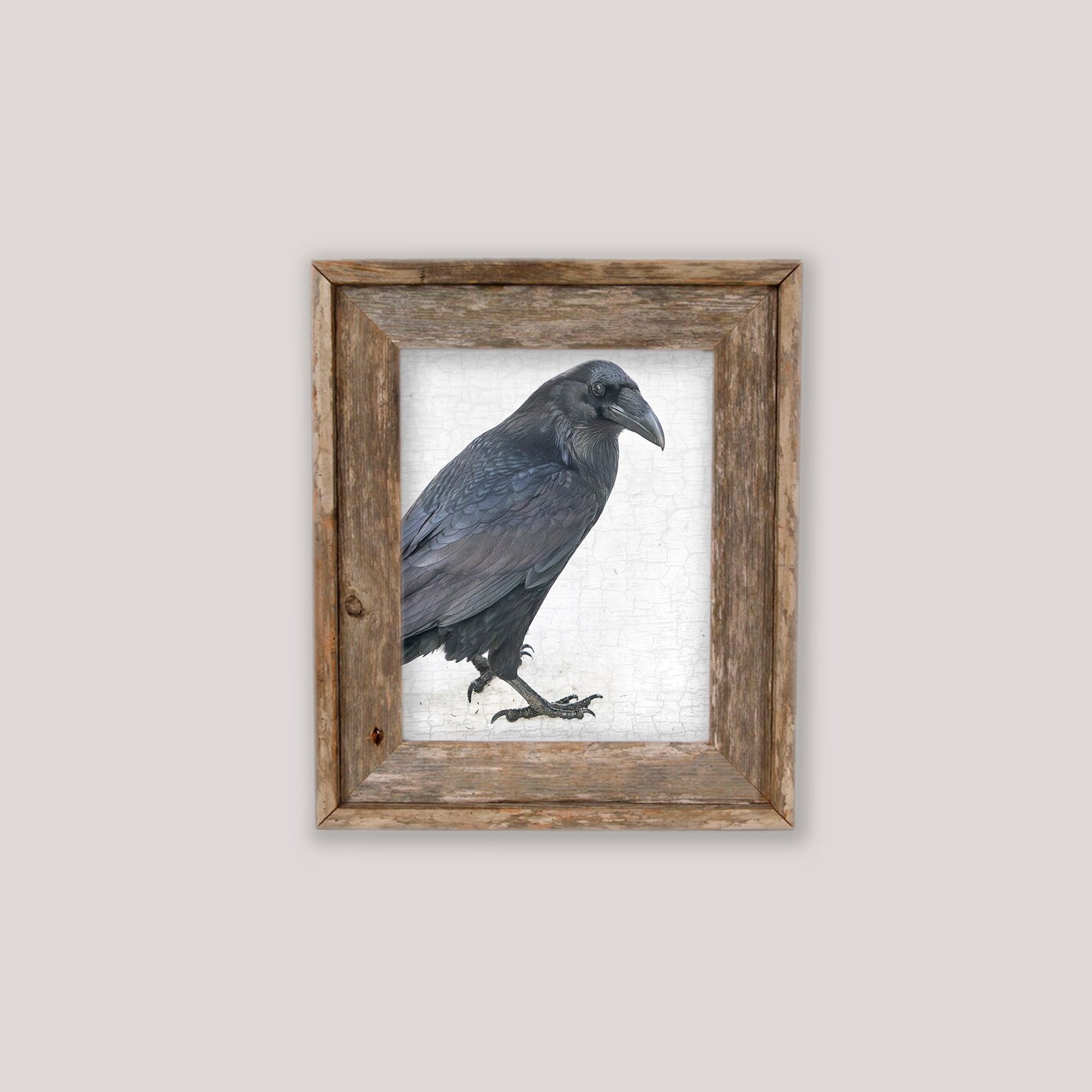 ENTER RAVEN, STAGE LEFT - Fine Art Print, Raven Portrait Series