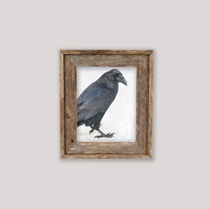 ENTER RAVEN, STAGE LEFT - Fine Art Print, Raven Portrait Series