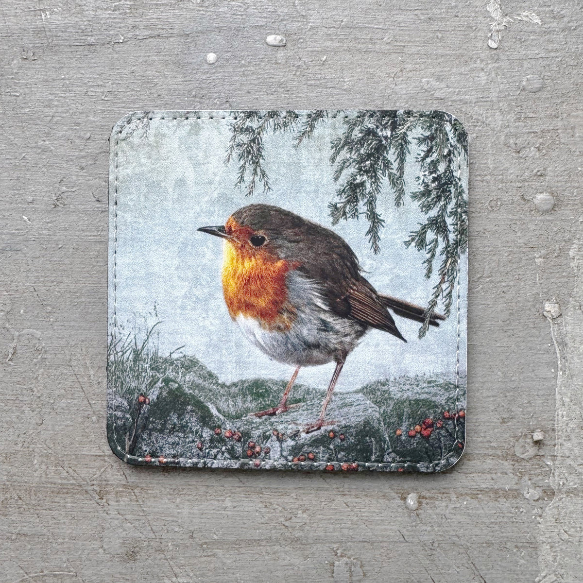 EUROPEAN ROBIN — Coaster