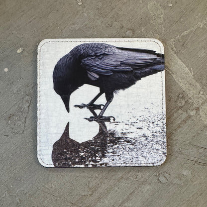 SELF REFLECTION — Coaster