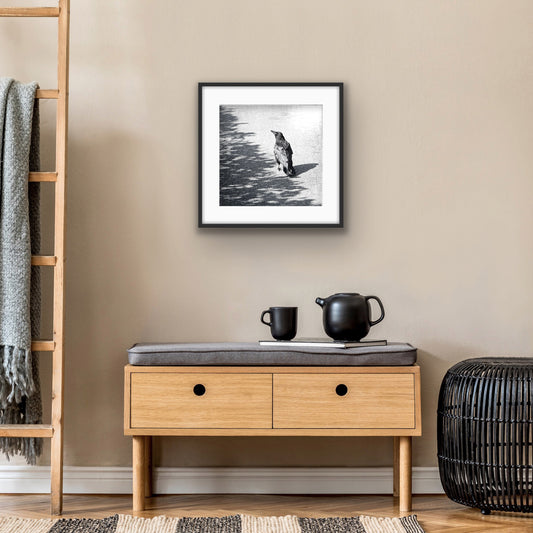 ON THE BORDERLINE - Fine Art Print, Crow Portrait Series