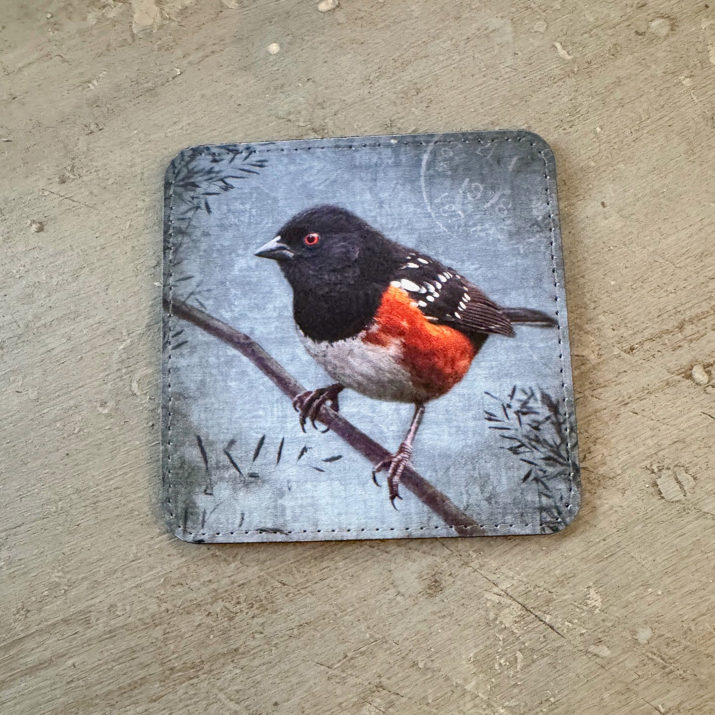 SPOTTED TOWHEE — Coaster