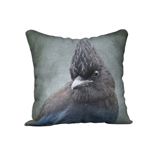 STELLER'S JAY — Bird Cushion Cover