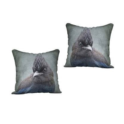 STELLER'S JAY — Bird Cushion Cover