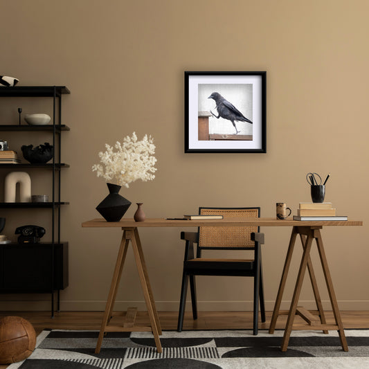STEP UP - Fine Art Print, Crow Portrait Series (Copy)
