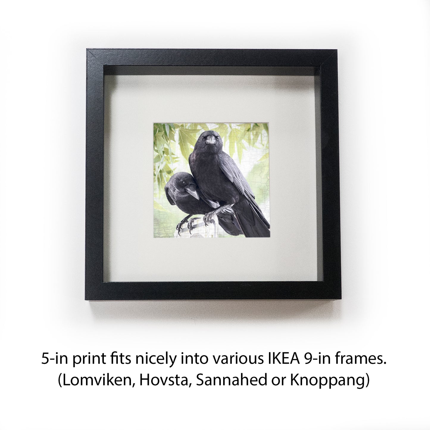 SUMMER LOVE - Fine Art Print, Crow Portrait Series