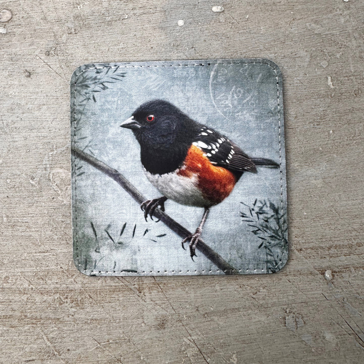 SPOTTED TOWHEE — Coaster