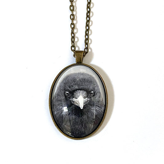 UNDERSTANDING CROW - Large Glass Pendant - SALE