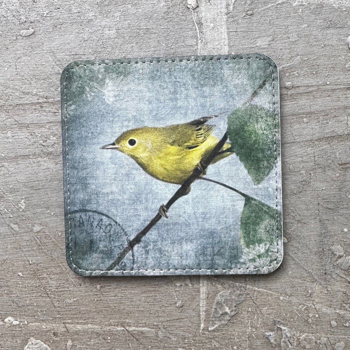 ORANGE CROWNED WARBLER — Coaster